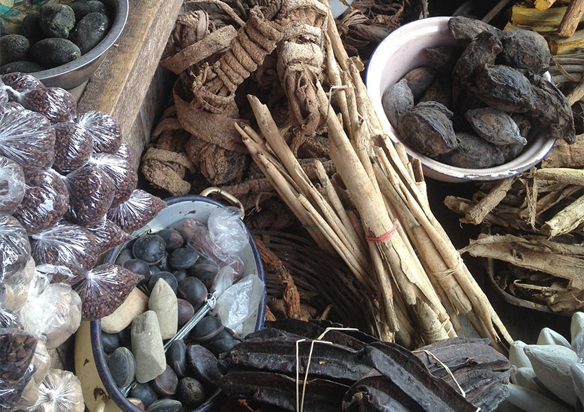 Face au Covid-19 : la médecine traditionnelle africaine