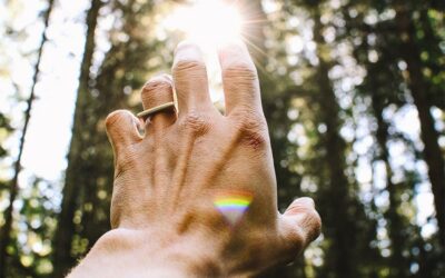 La loi de spiritualité et de sensibilité