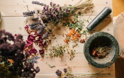 Tout savoir sur les plantes médicinales