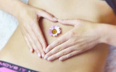 Le rôle essentiel de l’intestin : microbiote, immunité et équilibre global de la santé