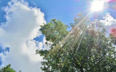 Dérèglement climatique et vague de chaleur précoce : quels risques pour la santé, le sport, l’agriculture et la biodiversité ?